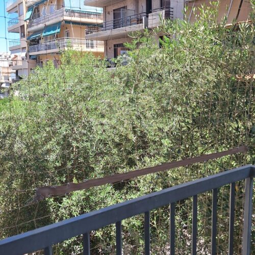 Δίχτυ για απώθηση περιστεριών Pest Services 04