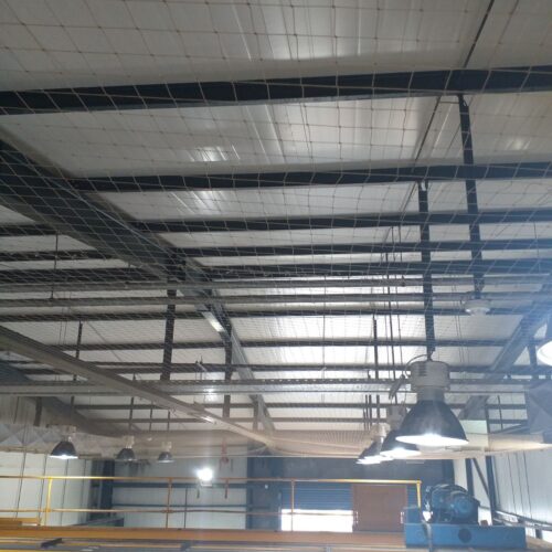 Δίχτυ για απώθηση περιστεριών Pest Services 13