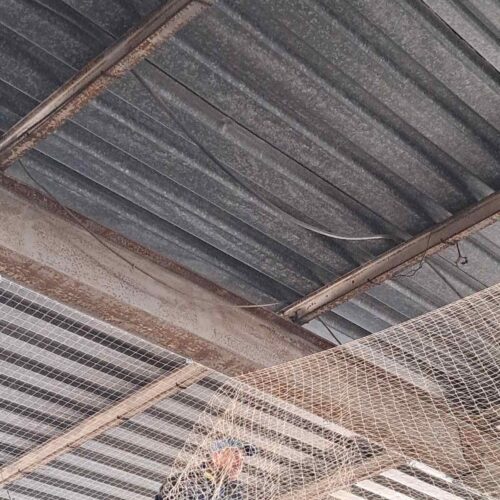 Δίχτυ για απώθηση περιστεριών Pest Services 23