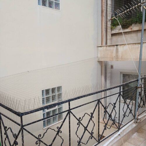 Απώθηση περιστεριών - τοποθέτηση δίχτυ και ακίδες για περιστέρια Pest Services