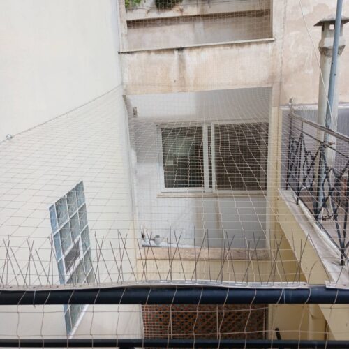 Απώθηση περιστεριών - τοποθέτηση δίχτυ και ακίδες για περιστέρια Pest Services εγκατάσταση